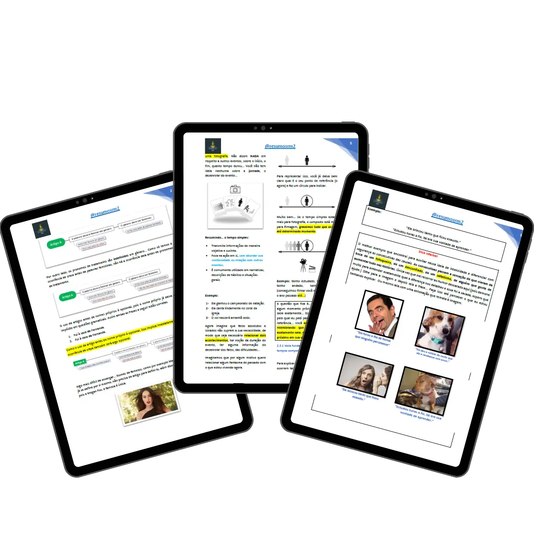 Resumos em PDF de Português para o SMV